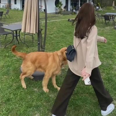 扶摇